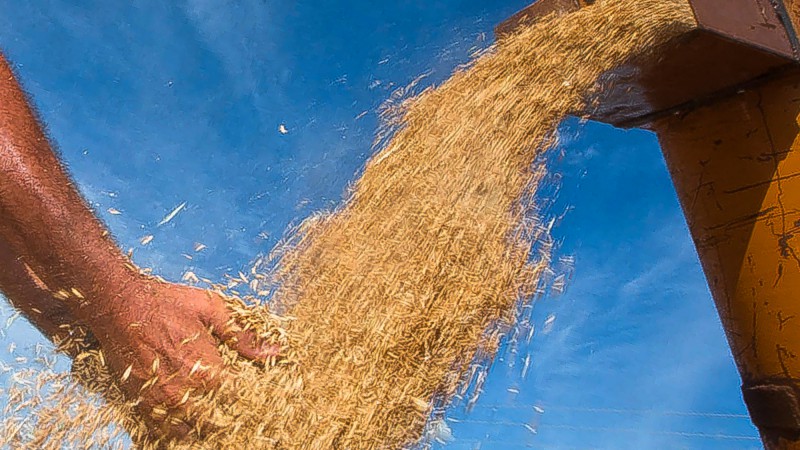 PIB do Estado aumenta 0,3% no terceiro trimestre deste ano, alavancado pela agricultura. Indústria também mostra recuperação