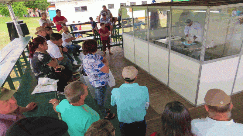 Oficina de processamento de pescado ensina técnica de salga e defumação