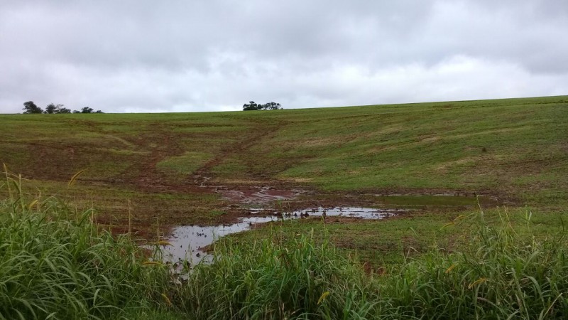Plantio do trigo alcança 53% da área prevista no Rio Grande do Sul