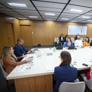 Foto de sala de reunião, com uma grande mesa retangular branca, junto da qual cerca de 15 pessoas estão sentadas.