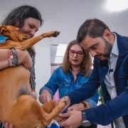 Gabriel em visita ao projeto Bicho de Rua avalia a para de uma cachorra que é segurada pela dona, uma das líderes do projeto. Uma segunda mulher també pode ser vista na imagem.