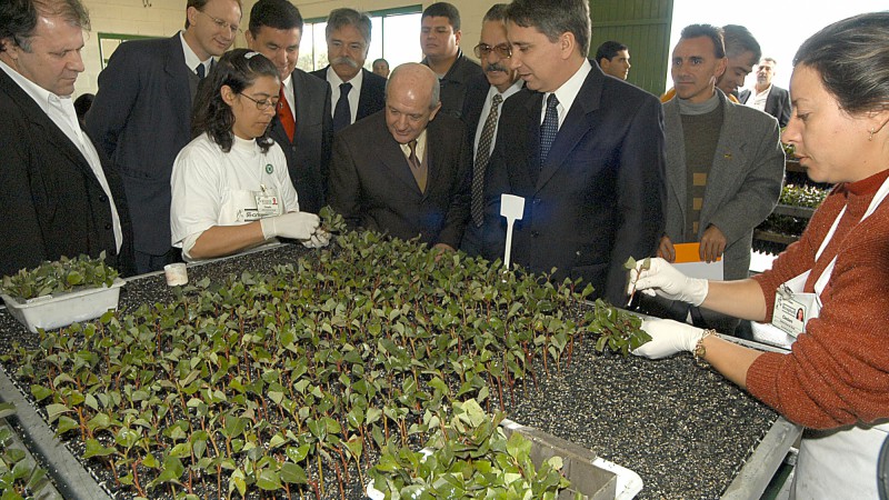 Governador Germano Rigotto inaugura as obras de ampliação do viveiro de mudas da Aracruz Celulose e assina convênio para repasse de recursos do Proflora Caixa-RS ao programa Produtor Florestal. Local: Fazenda Barba Negra.