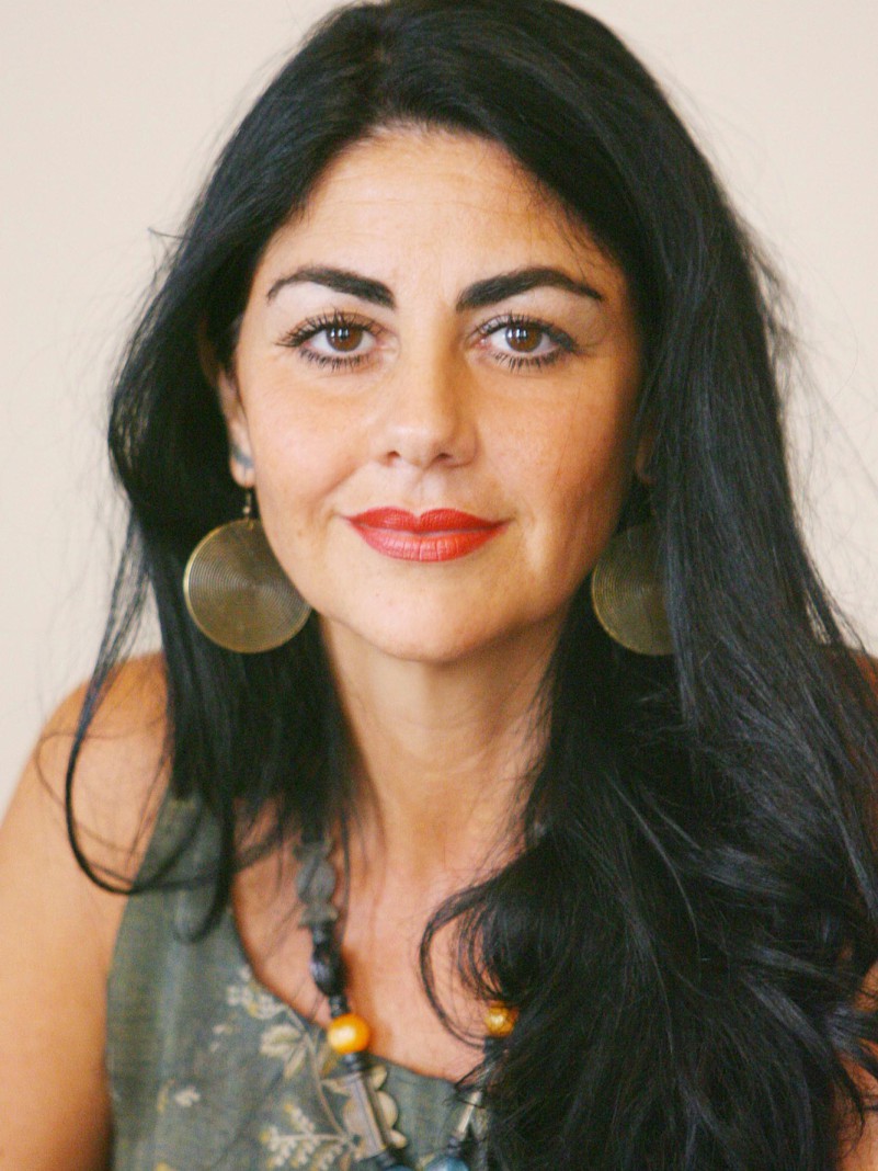A presidente da Fundação de Atendimento Sócio-Educativa (Fase), Liliane Gonçalves Saraiva.