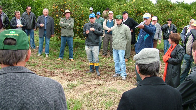 A região do Alto Uruguai é considerada, atualmente, a que apresenta as melhores condições de produzir laranja no Rio Grande do Sul, conforme dados apresentados pelo coordenador estadual do Profruta/RS e gerente adjunto da Gerência Técnica da