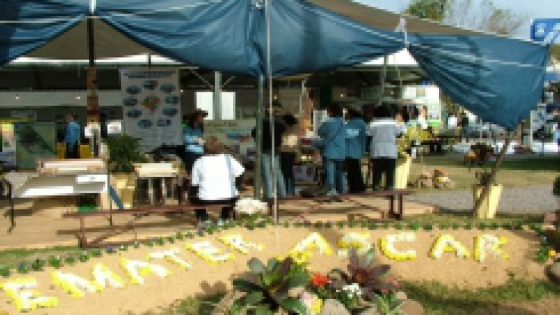 A integração com representantes de instituições e serviços do setor agropecuário é a tônica do estande da Emater/RS-Ascar na 15ª Feira Nacional do Arroz, que acontece em Cachoeira do Sul, a maior feira do país dedicada à cadeia orizícola. Foram
