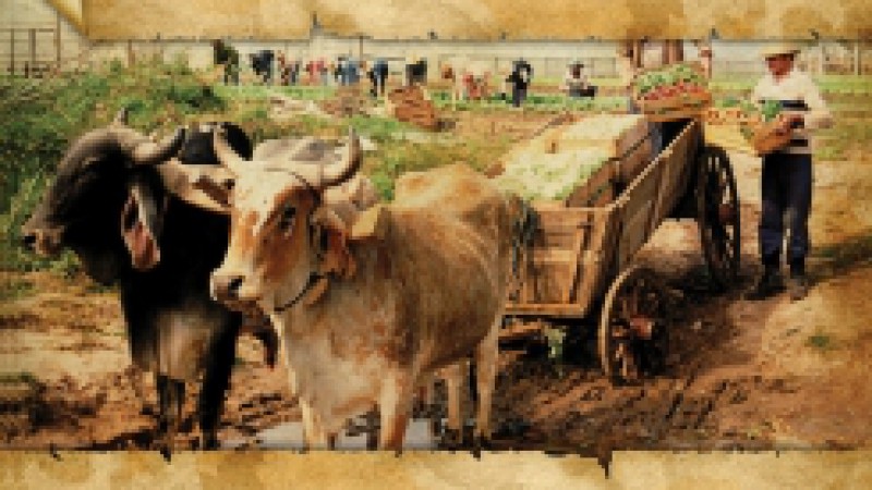 Com o objetivo de atender melhor às necessidades do mercado, no próximo dia 14 de novembro a Secretaria do Turismo, Esporte e Lazer estará apresentando o novo site do turismo do Rio Grande do Sul e o Guia de Turismo Rural Gaúcho, em conjunto com o Grupo