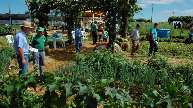 Muitos visitantes têm procurado a parcela de Horticultura e Irrigação no Espaço da Emater/RS-Ascar, na Expodireto Cotrijal, em Não-Me-Toque. A maioria dos agricultores e também estudantes, como os da Escola Agrotécnica Federal de Sertão, querem saber