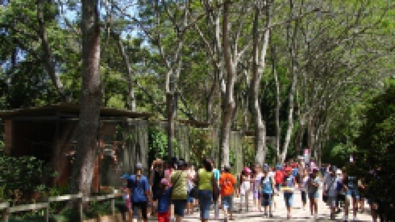 O&nbsp;aumento do efetivo no Posto da Brigada Militar instalado na Reserva Florestal Padre Baldu&iacute;no Rambo, do Parque Zool&oacute;gico, em Sapucaia do Sul, traz mais&nbsp;efici&ecirc;ncia aos cuidados na &aacute;rea. Resultado de&nbsp;parceria&nbsp;entre a Funda&ccedil;&atilde;o Zoobot&acirc;nica do RS e a Brigada
