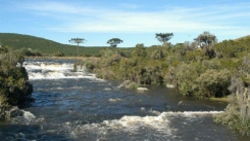 A Semana Estadual do Meio Ambiente será aberta oficialmente nesta quarta-feira (27) com o recolhimento de lixo do Lago Guaíba realizado por aproximadamente 40 barcos da Colônia de Pescadores Z-5 e do Clube Veleiros do Sul. O mutirão Pescando Lixo,