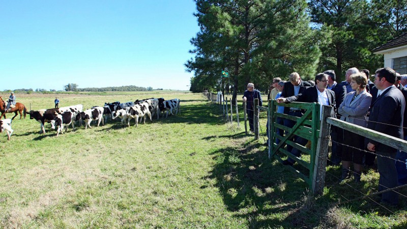 A governadora Yeda Crusius durante visita &agrave;s instala&ccedil;&otilde;es da sede Campanha da Funda&ccedil;&atilde;o Estadual de Pesquisa Agropecu&aacute;ria do RS(Fepagro), em Hulha Negra, para a apresenta&ccedil;&atilde;o do Projeto de Rastreabilidade Bovina.