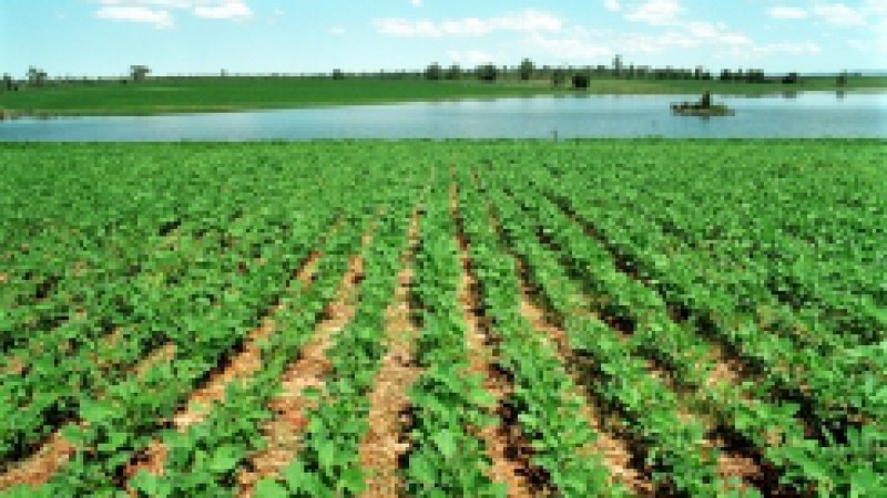 Com a aproximação da safra de verão 2011/2012, chega o momento de os agricultores gaúchos voltarem sua atenção para o solo. Enquanto alguns agricultores o revolvem, incorporando os restos de palha e vegetais, grande parte já opta pelo plantio direto,