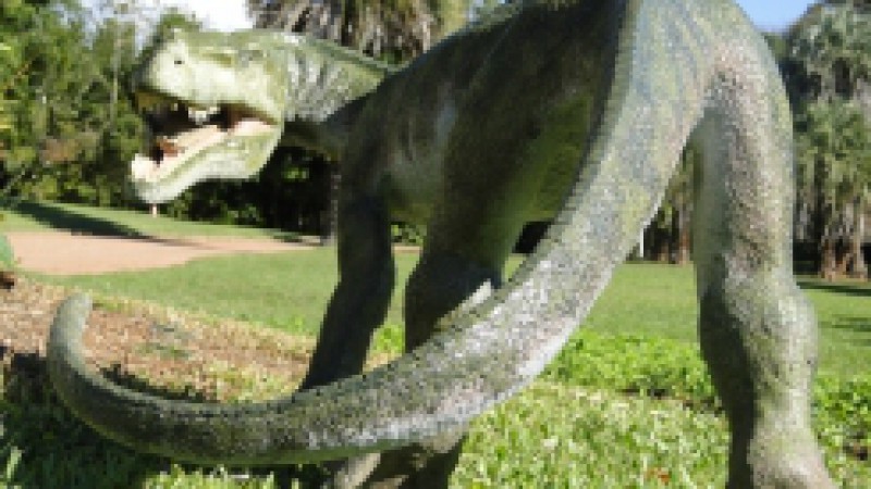 O Museu de Ci&ecirc;ncias Naturais da Funda&ccedil;&atilde;o Zoobot&acirc;nica do Rio Grande do Sul realiza nesta quarta-feira (06), &agrave;s 17h, a cerim&ocirc;nia de abertura da exposi&ccedil;&atilde;o F&oacute;ssil do Tri&aacute;ssico M&eacute;dio Encontrado no Rio Grande do Sul. O destaque &eacute; para a r&eacute;plica do