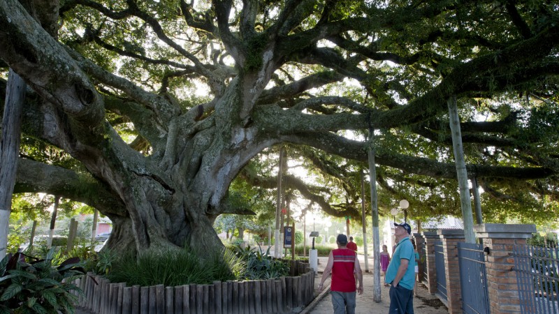 10.02.12: Verão Numa Boa - Praça da Figueira, em Arambaré.