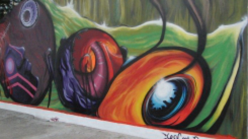 A convite da Secretaria da Administração e dos Recursos Humanos (SARH), o artista plástico Leopoldo Constanzo Filho criou um grafite, na última semana, em homenagem ao Centro Administrativo Fernando Ferrari (CAFF). A ação integra as comemorações dos 25