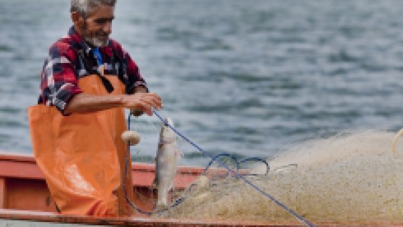 A Secretaria de Desenvolvimento Rural, Pesca e Cooperativismo (SDR) promove e participa, neste mês de maio, de uma série de atividades relacionadas à pesca artesanal e à piscicultura. Um dos destaques é a Festa Nacional do Peixe Cultivado, que acontece