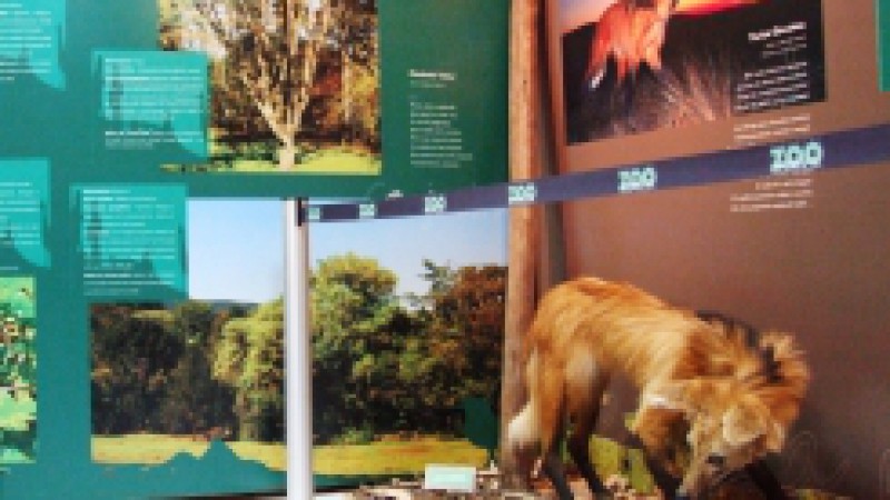 Uma versão compacta da exposição Fauna e flora na tradição gaúcha será levada pelo Museu de Ciências Naturais (MCN) da Fundação Zoobotânica do Rio Grande do Sul para o 24º Congresso Brasileiro de Zoologia, entre os próximos dias 5 a 9 de março, em