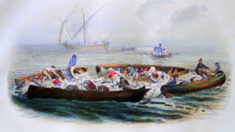 A exposição Jardim do Rei: uma visão poética da história natural de Buffon fica até este domingo (28) na Sala de Exposições do Museu de Ciências Naturais, situado no Jardim Botânico. Na mostra, dezenove artistas do Atelier Livre da Prefeitura de Porto