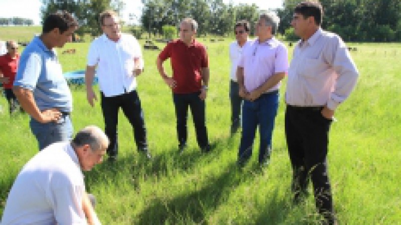 O Centro de Recria Andr&eacute; Voisin, implantado no ano passado, na unidade da Funda&ccedil;&atilde;o Estadual de Pesquisa Agropecu&aacute;ria (Fepagro) em Dom Pedrito, deve abrigar, at&eacute; o final deste ano, cerca de 1.200 terneiras das ra&ccedil;as Holandesa e Jersey. Os animais, de