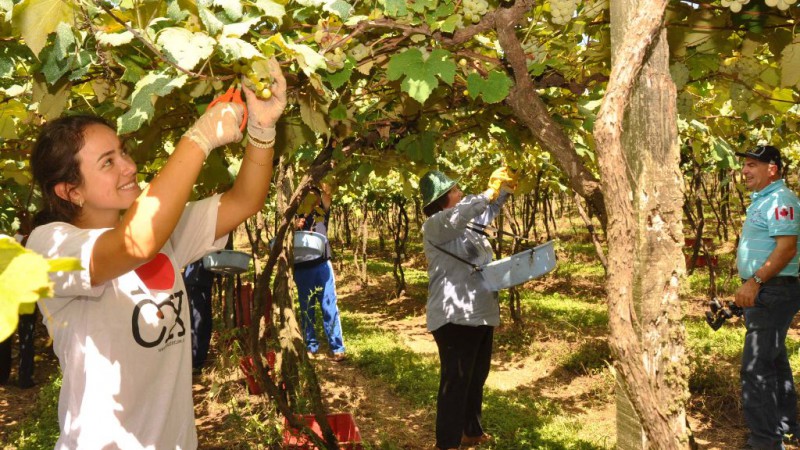 Repasse de R$ 276 mil à Escola da Família Agrícola, em Garibaldi, permite ingresso de 30 jovens filhos de viticultores em curso técnico a partir de 2015