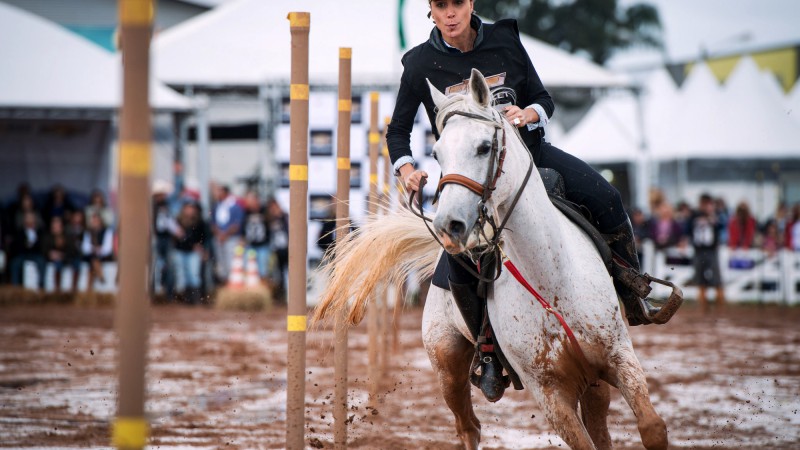 Baixa incidência da doença em cavalos permite estender o prazo de vigência dos exames de dois para seis meses