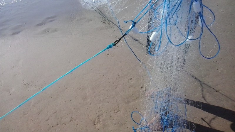 O Comando Ambiental da Brigada Militar fez uma varredura, no final de semana, nas praias do Litoral Norte para conscientizar os veranistas com relação à pesca predatória e ao uso irregular de apetrechos utilizados para tal atividade. Durante a fiscaliza