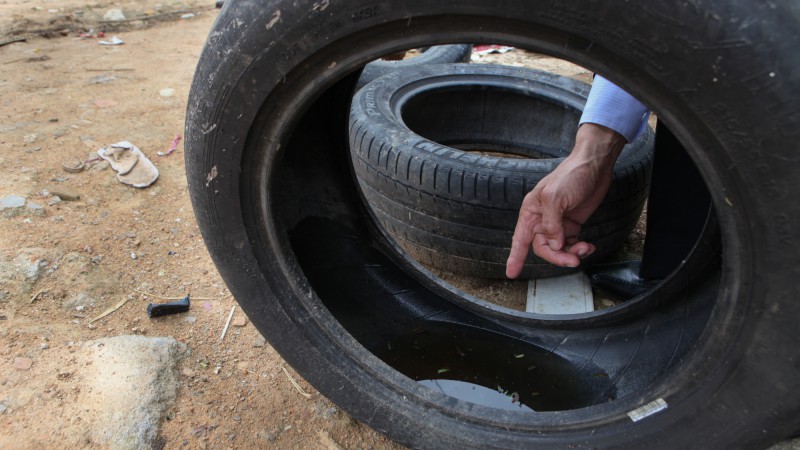 Cuidados simples podem ser tomados para evitar o acúmulo de água parada, que é onde o inseto se reproduz