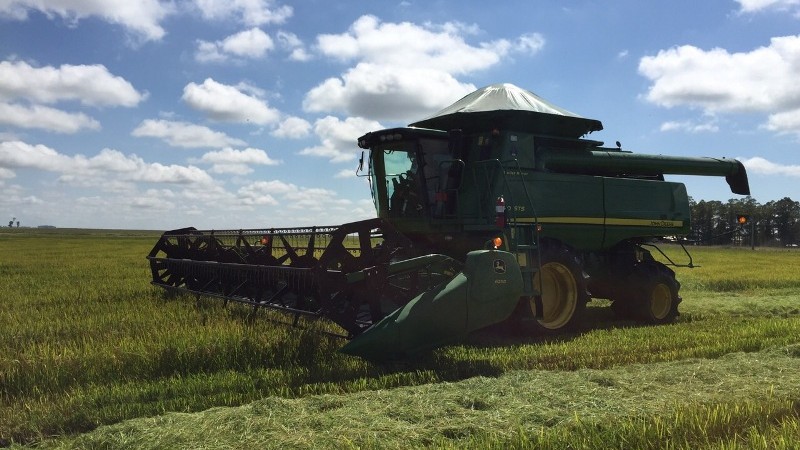 Agricultura