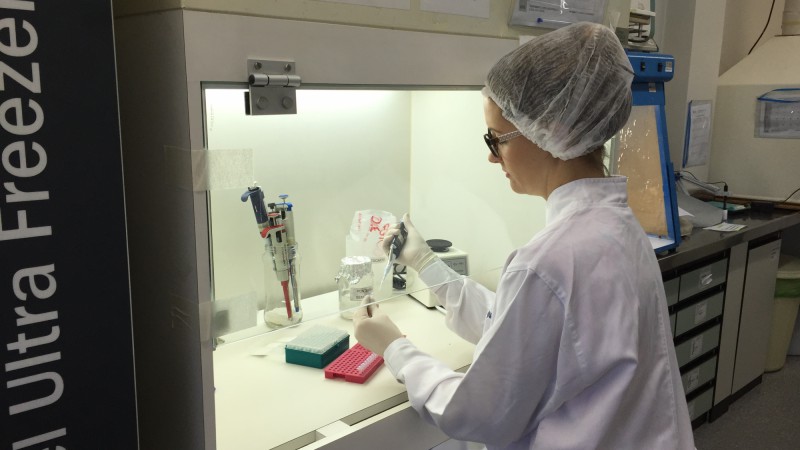 Teste desenvolvido na Fepps favorece escolha de tratamento para hepatite C