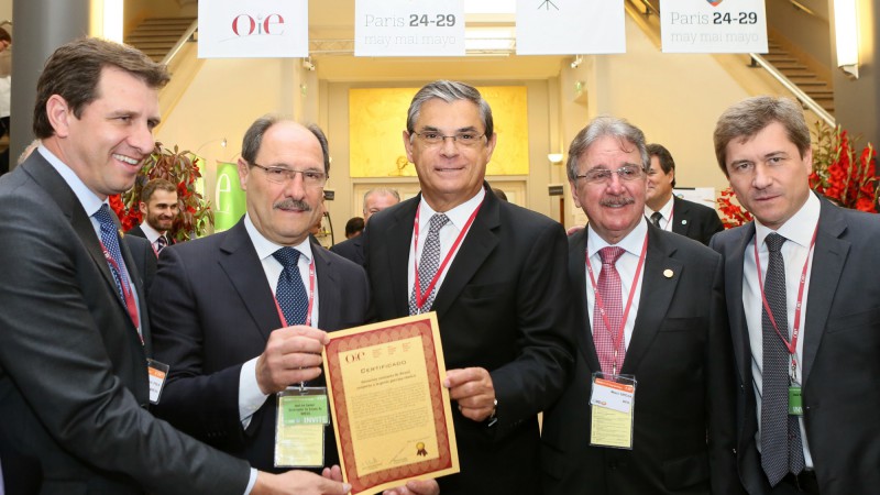 Rio Grande do Sul é certificado como área livre de peste suína clássica