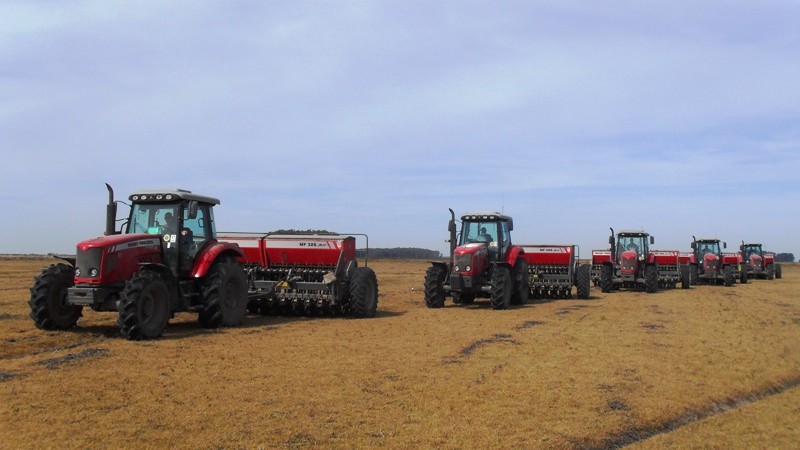 Plantação de arroz