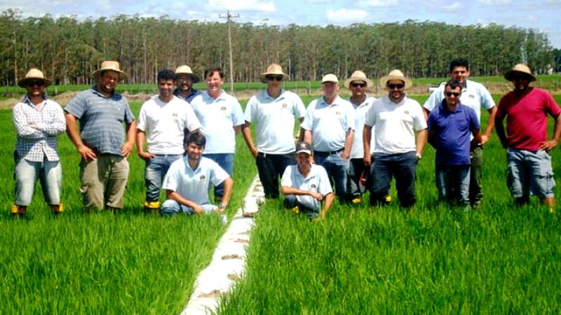 Treinamento do Irga