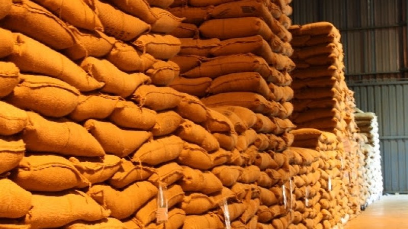 Leil&atilde;o de soja