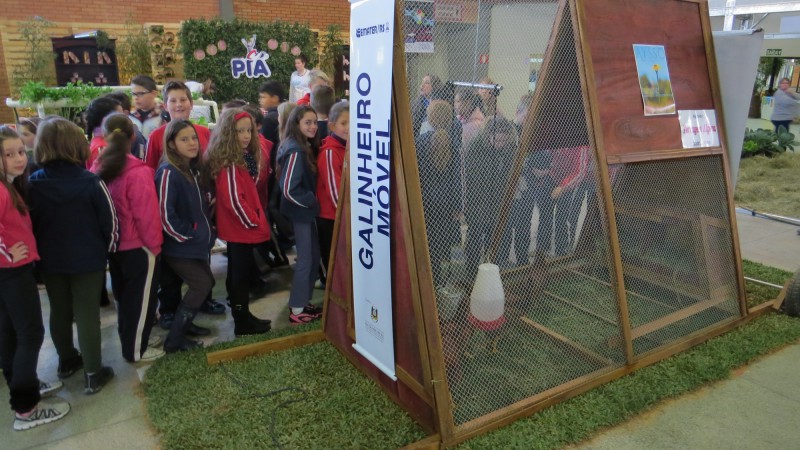 Tecnologia simples reduz custos na avicultura e melhora qualidade do solo