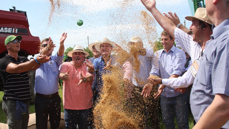 Abertura da colheita do arroz 2017