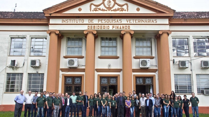 ipvdf 20