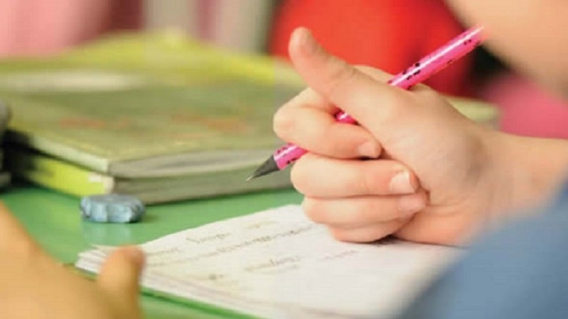 escola12www