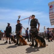 Operação Golfinho, voltada ao reforço do policiamento, integra a Verão para Todos