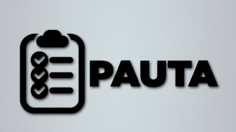 pauta10