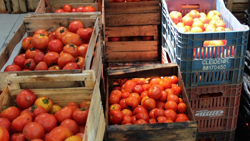 tomate22