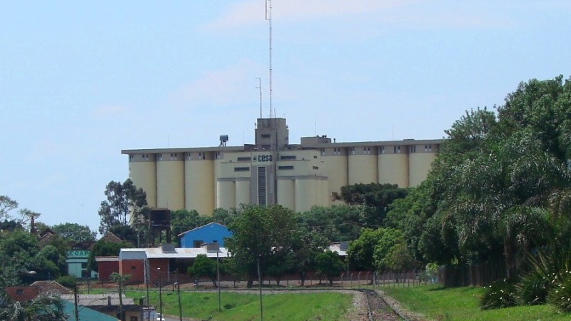 cruzalta8