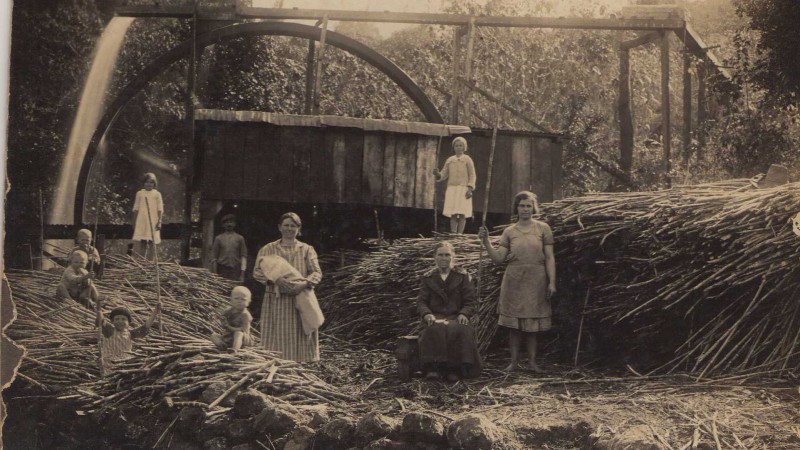Acervo Arquivo Histórico do RS