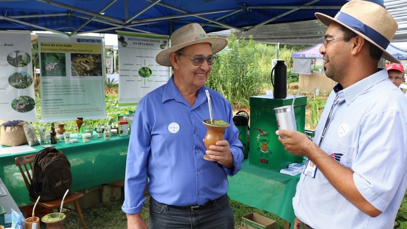 expoagro 2019 erva mate