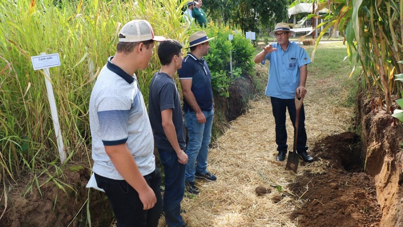 Emater Expoagro solos