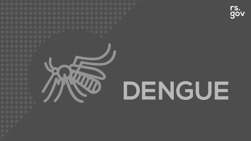 Dengue 29