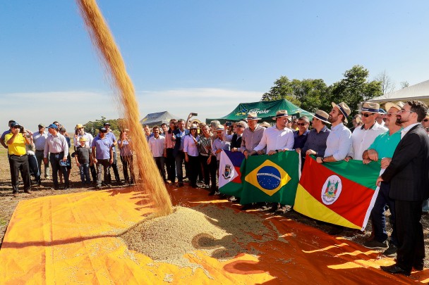 TUPANCIRETÃ, RS, BRASIL, 30/03/2019 - Governador Eduardo Leite participou neste sábado (30) da abertura oficial da 12º Colheita da Soja no Rio Grande do Sul. Fotos: Itamar Aguiar/Palácio Piratini