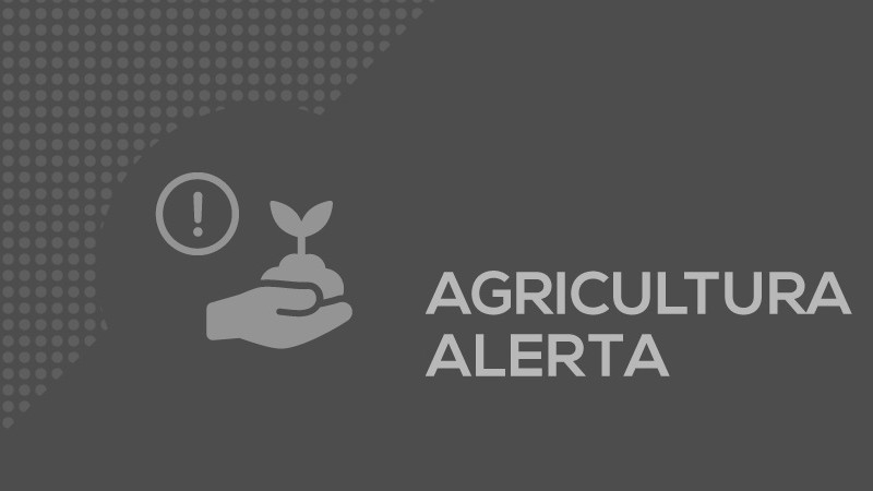 Card Agricultura alerta1