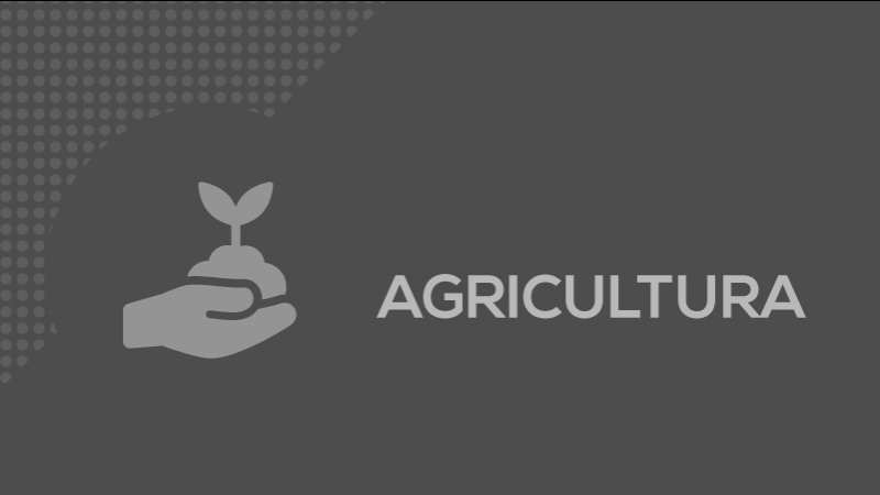 Agricultura card 17