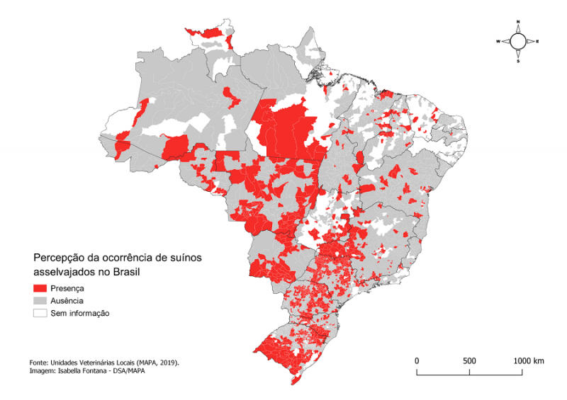 javali Mapa