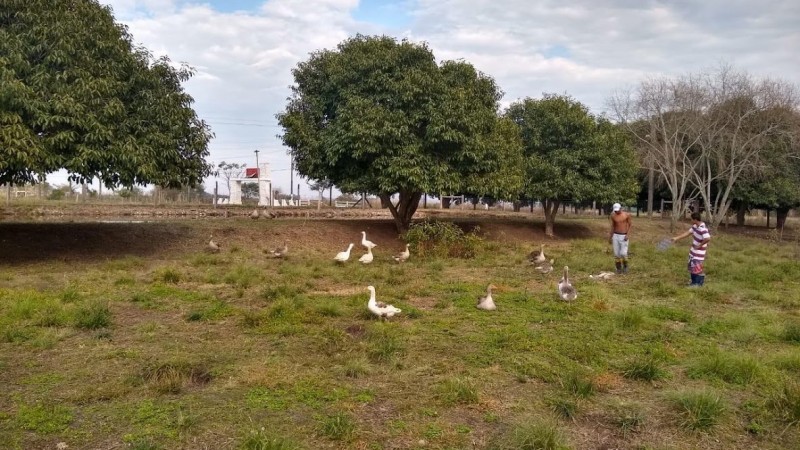 case uruguaiana