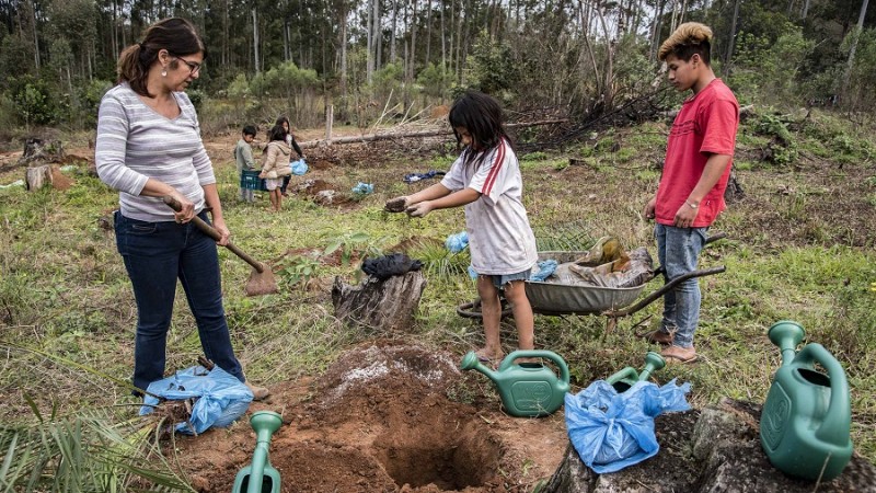 guarani butiá 2